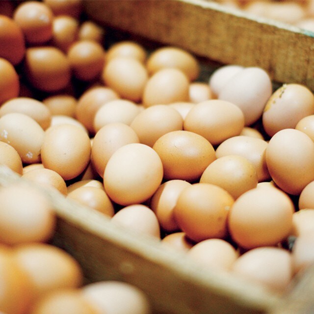 Food Costs and Selling Price of UFS Dishes