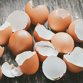 Eggshells Eggshells