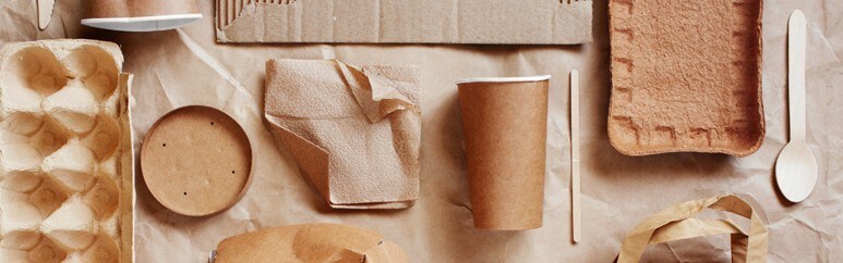 Eco-friendly food packaging options Eco-friendly food packaging options