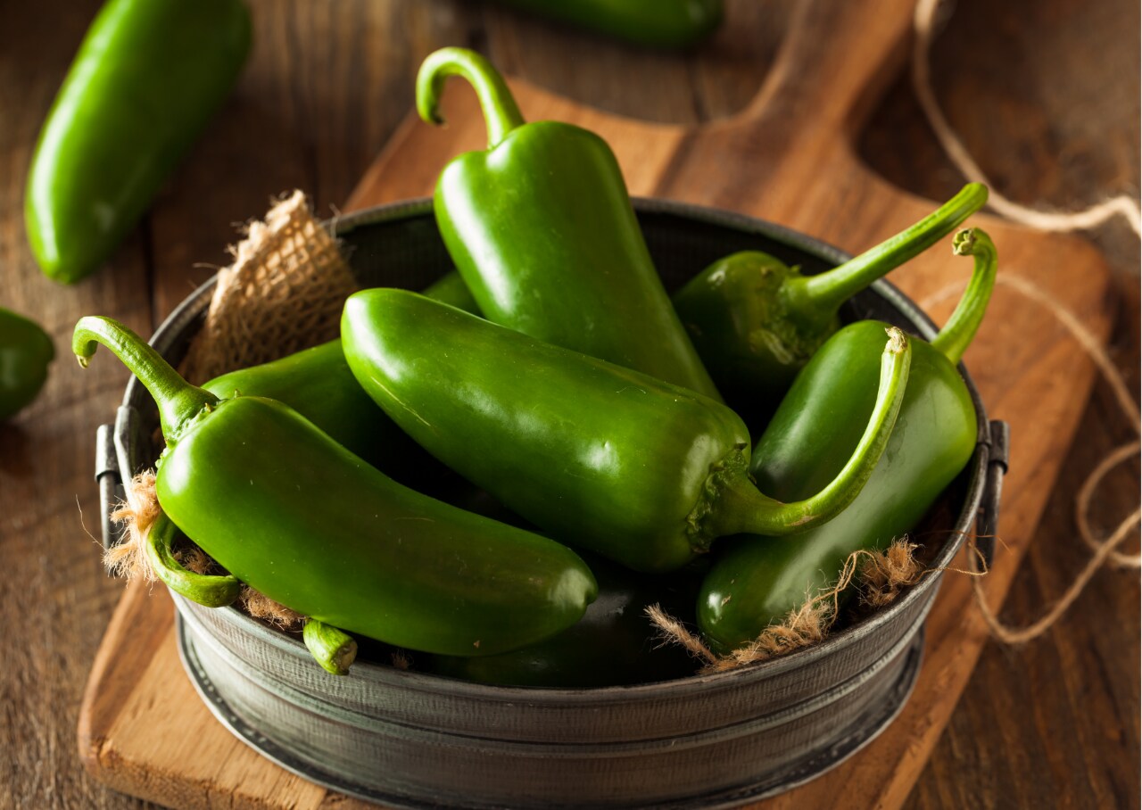 Jalapeno Jalapeno