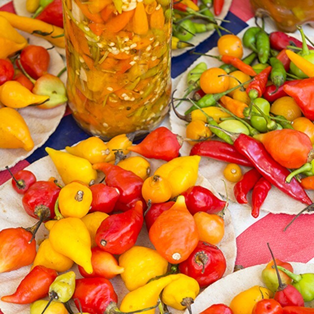 Exploring São Paulo's Food Markets