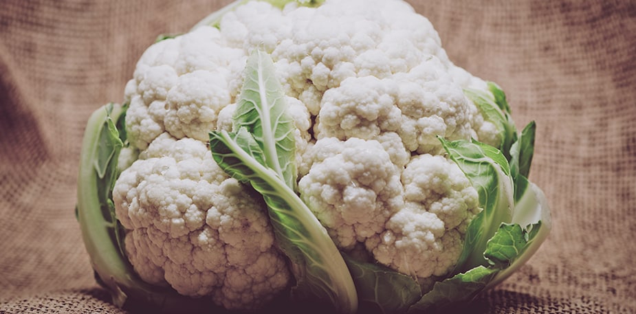 Supporting Ingredients to Boost Immunity