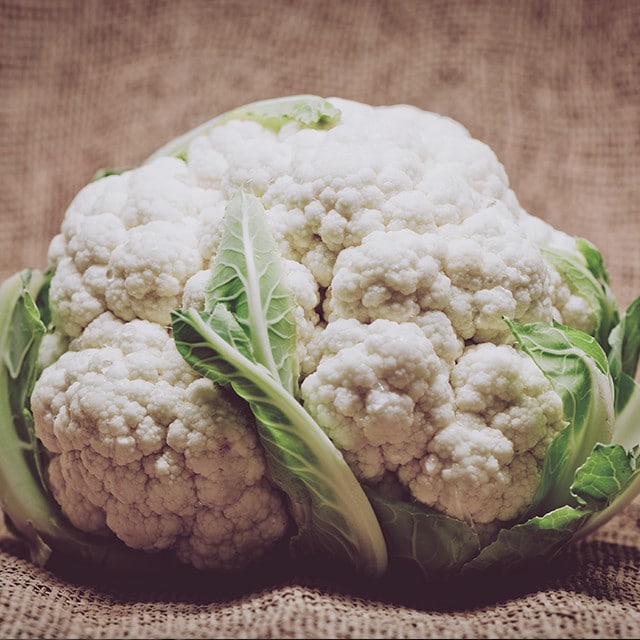 Supporting Ingredients to Boost Immunity