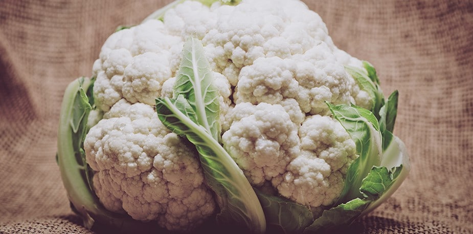 Supporting Ingredients to Boost Immunity