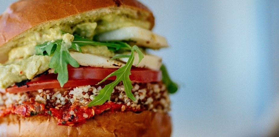  Vegan Recipes and Techniques