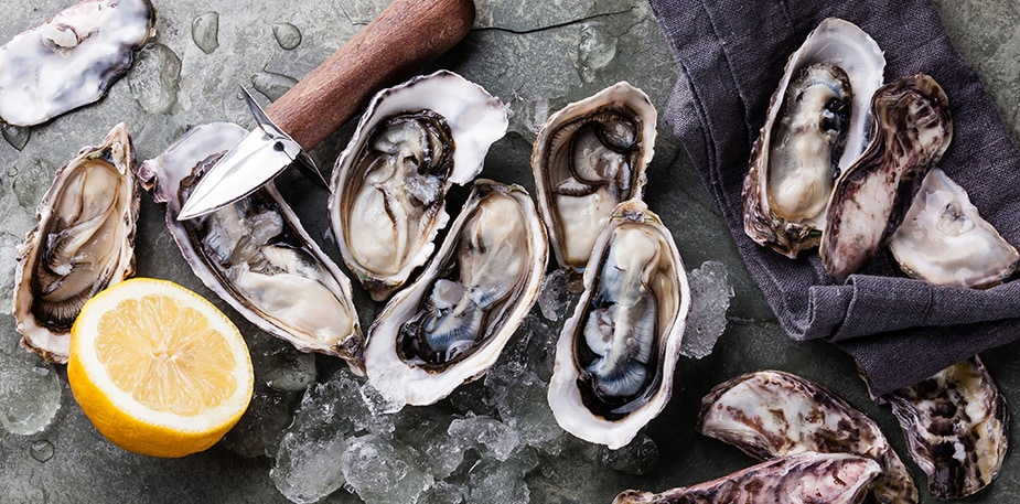 Memahami Makanan Laut Dalam Masakan Barat